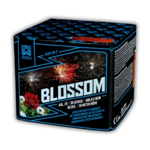 Batterie Argento Blossom AC25-36-2 Feuerwerksbatterie 36 Schuss 25mm mit Blinkstern-Buketts, Titangoldweiden, Farbspitzen und Silbercracker-Finale